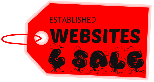 established-websites4sale